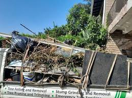 Best Attic Cleanout  in Lmar, DE