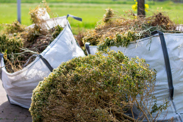 Reliable Delmar, DE Junk Removal Services Solutions