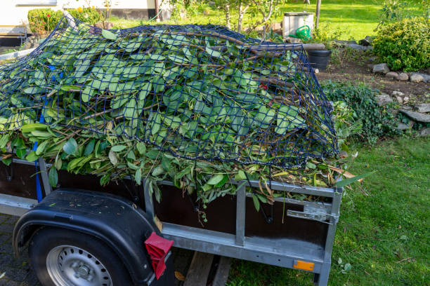 Best Carpet Removal and Disposal  in Lmar, DE